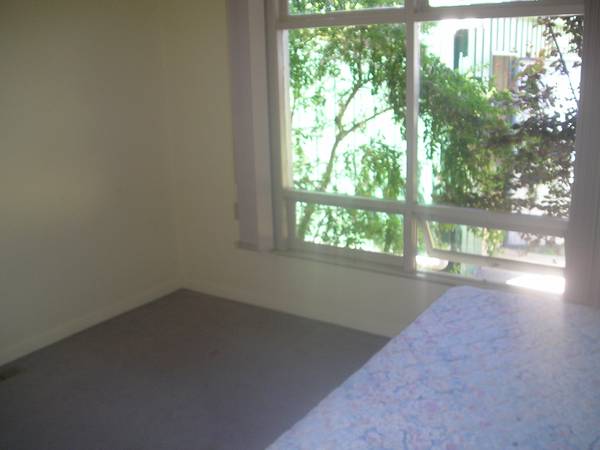 Large 4 Bedroom Brick Veneer Picture 3