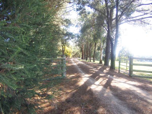 BREATHTAKING VIEWS, 39 SQUARES UNDER ROOF, 10 ACRES, LOTS OF WATER, JUST 12 MINUTES FROM CBD Picture