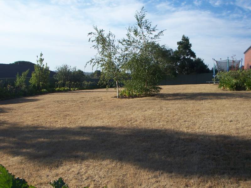 FABULOUS VIEWS FROM THIS HUGE 955 m2 BLOCK Picture 1