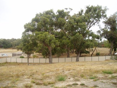 FABULOUS 1200m2 BLOCK Picture FABULOUS 1200m2 BLOCK Picture