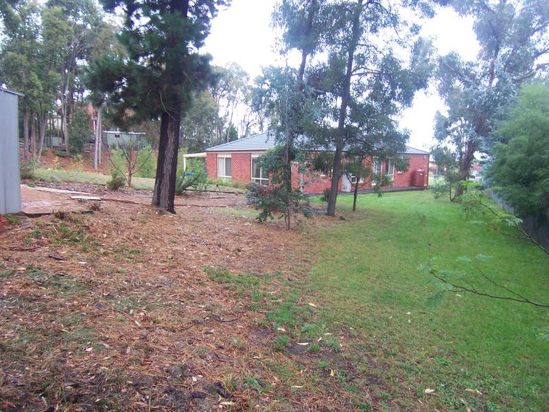 IN BUSH ON BLACK HILL WITH HUGE 1445 m2 BLOCK, JUST 900 M FROM SCHOOL, KINDER, POOL & RESERVE Picture 2