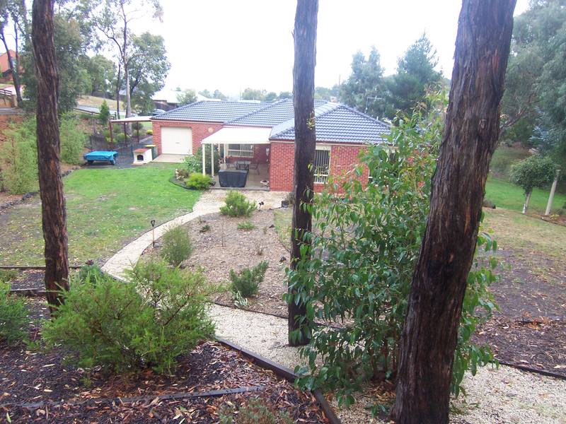 IN BUSH ON BLACK HILL WITH HUGE 1445 m2 BLOCK, JUST 900 M FROM SCHOOL, KINDER, POOL & RESERVE Picture 3