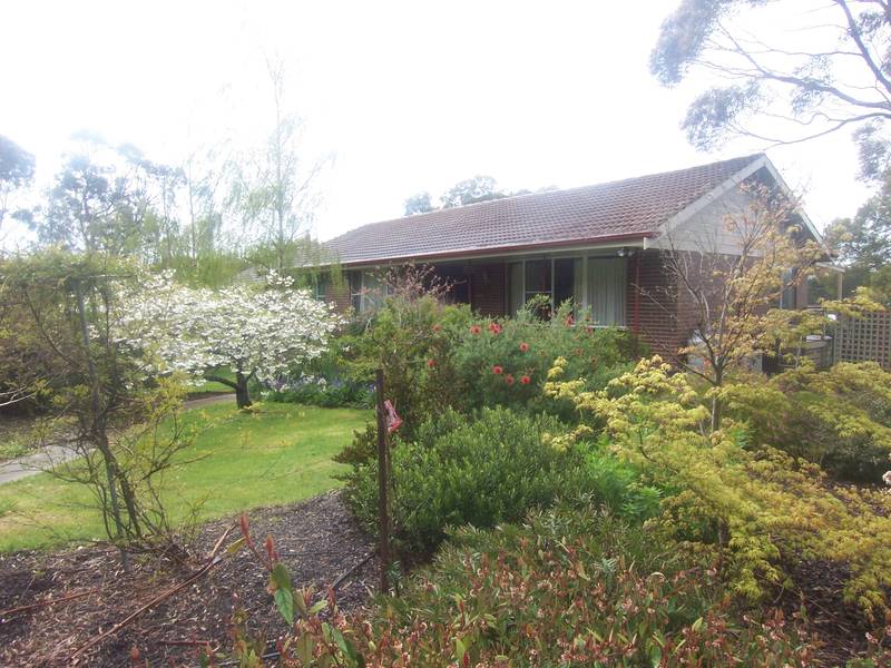 UNIQUE, DUAL OCCUPANCY, ON HUGE 1577 M2 BLOCK ON MELB SIDE, 3 BR B/V PLUS FLAT, BIG OUTDOOR DECK WITH VIEWS, IN GROUND P Picture 1