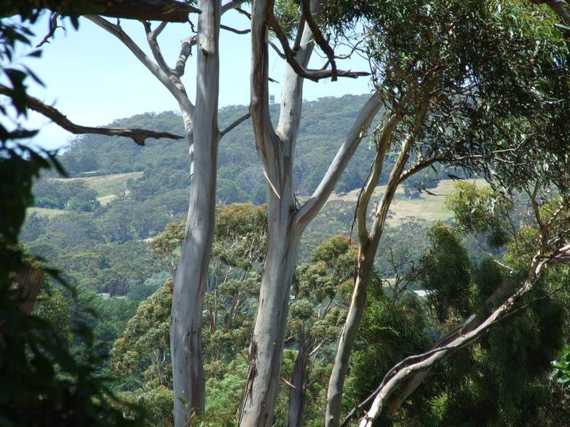 PRIME LOCATION BUNINYONG BUILDING BLOCK Picture 1