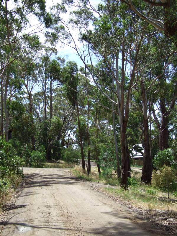 PRIME LOCATION BUNINYONG BUILDING BLOCK Picture 2