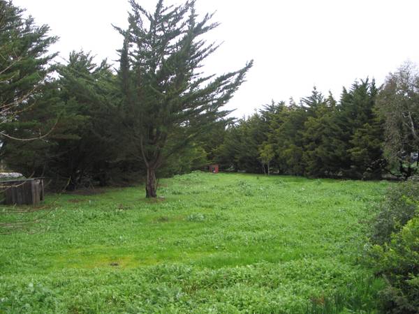 No Neighbours 25 Minutes To Town Strong & Private Picture 2