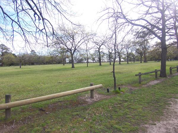 Vacant Land - Alfredton Picture 1