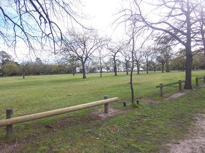 Vacant Land - Alfredton Picture