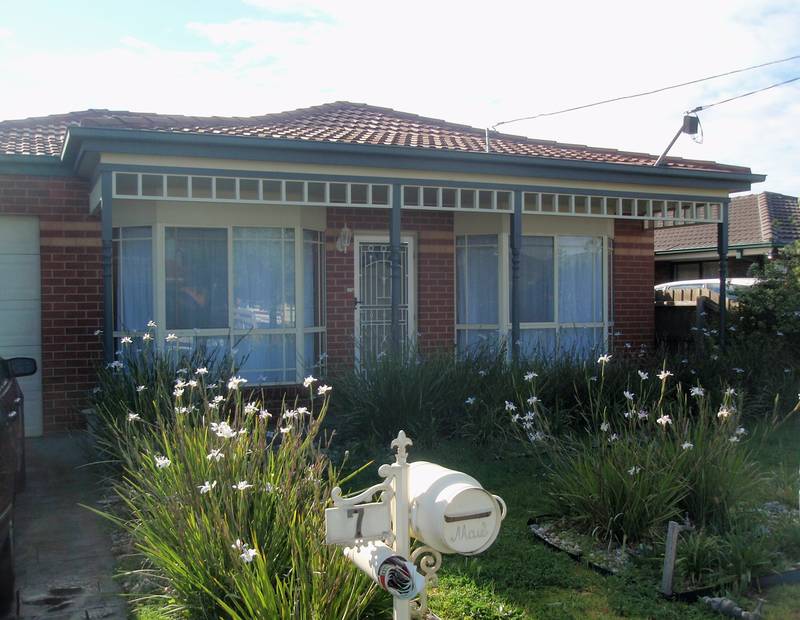 SIMPLY DELIGHTFUL Picture 1