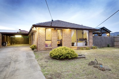 Fantastic Family Setting Picture