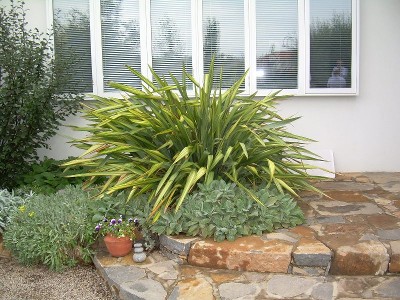 1 Bedroom Apartment Picture