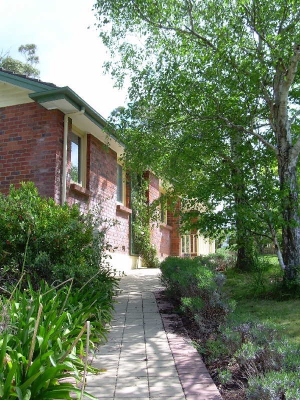 Showcasing Launcestons Best Picture 1