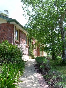 Showcasing Launcestons Best Picture