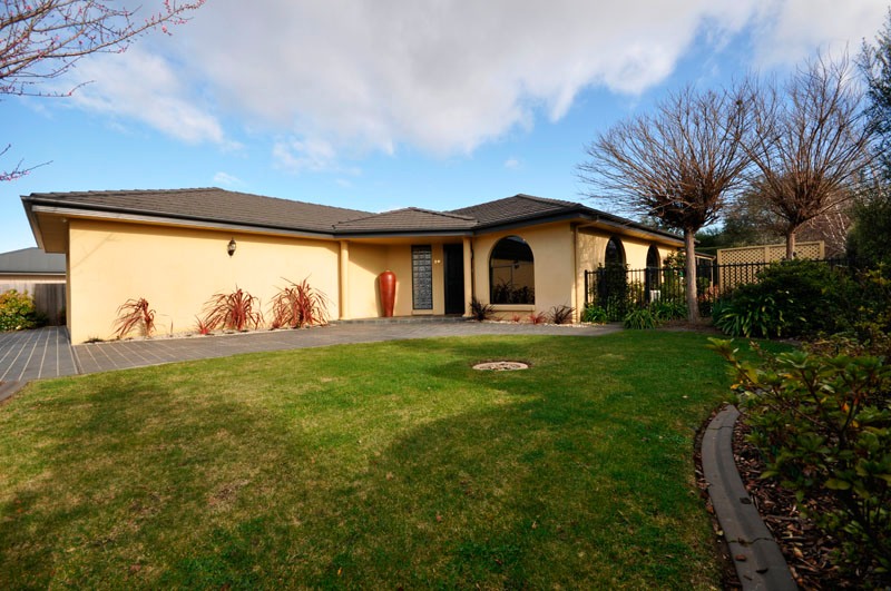 Elphinwood - The Entertainer Picture 2