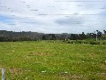Mt Leslie Estate Picture