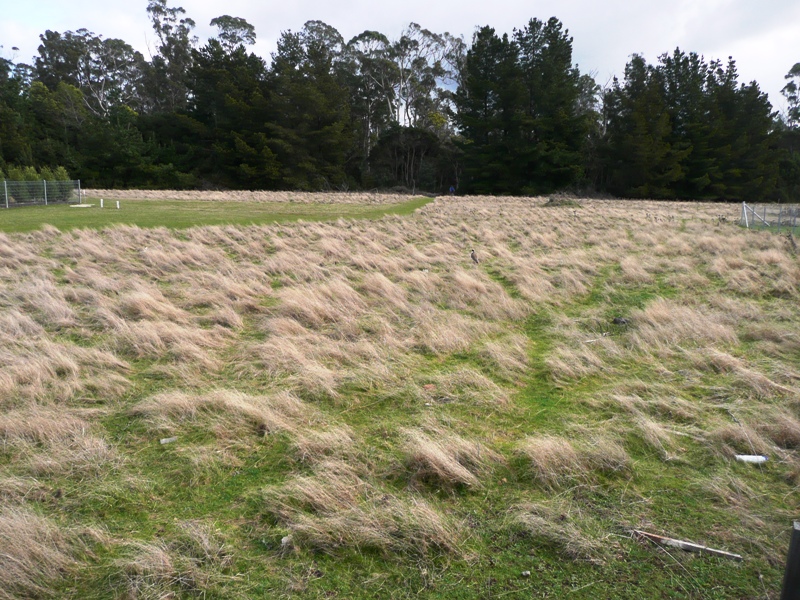 Prime Location Picture 2