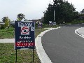The Avenue Picture