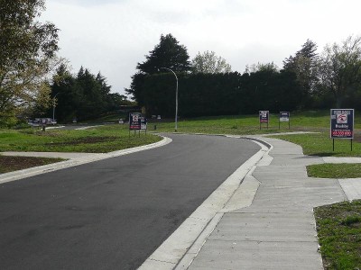 The Avenue Picture