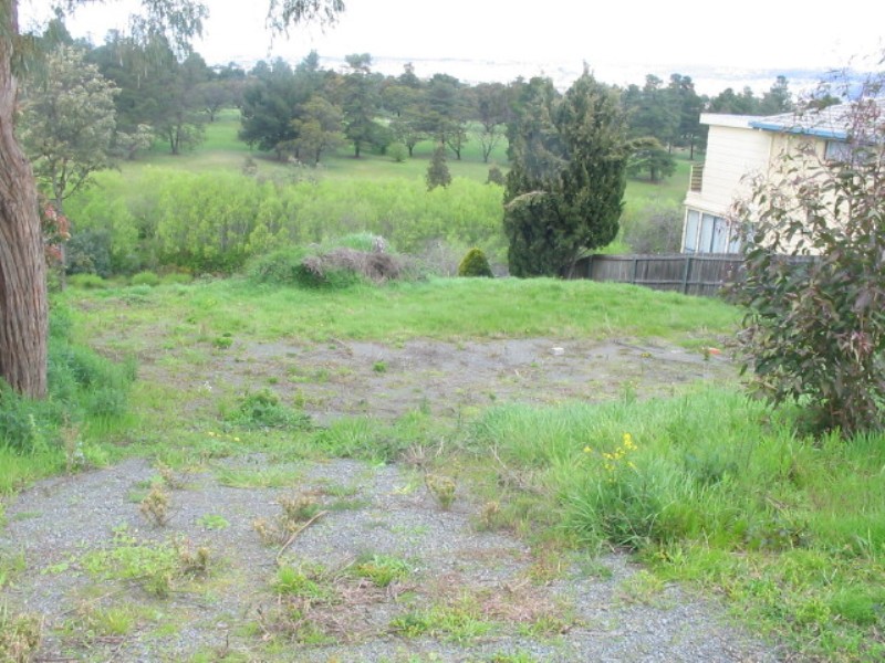 Golf Anyone? Picture 2