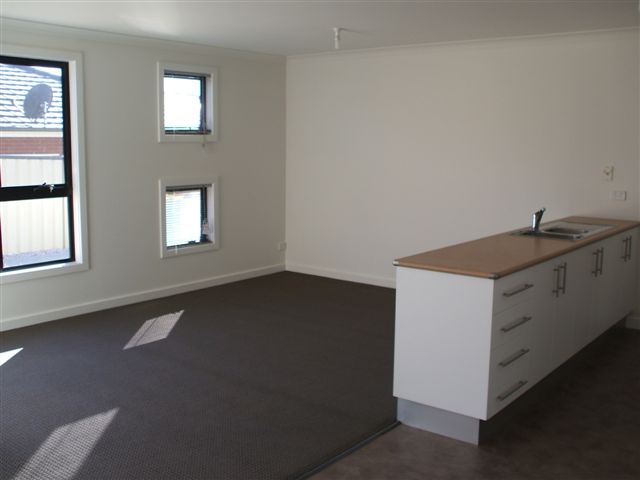 Brand New 1 Bedroom Unit - Riverside Picture 3