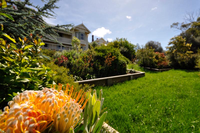 What can I say Picture 3