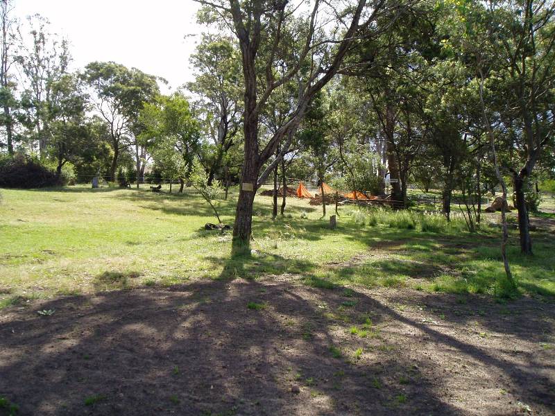 Build Your Dream Home Picture 1