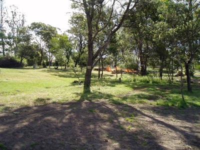 Build Your Dream Home Picture