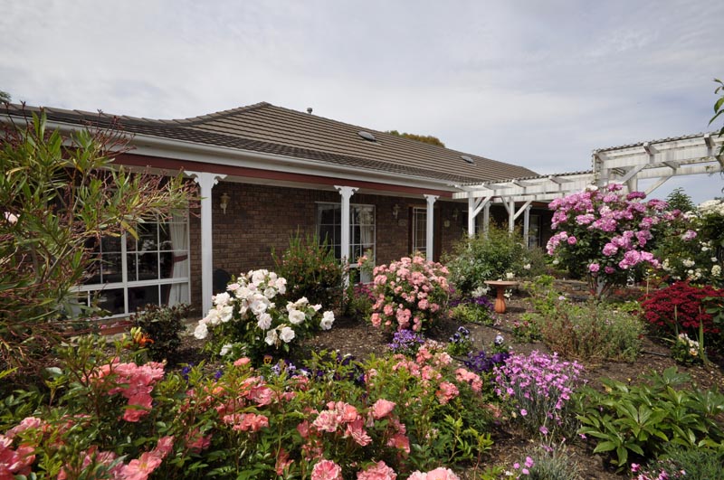 Hidden From View Picture 2