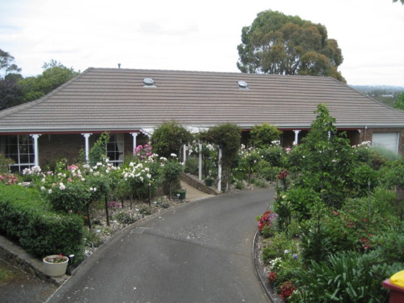 Hidden From View Picture 1