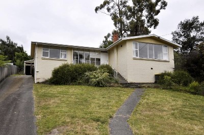 A Place To Blossom On Cherry Road Picture