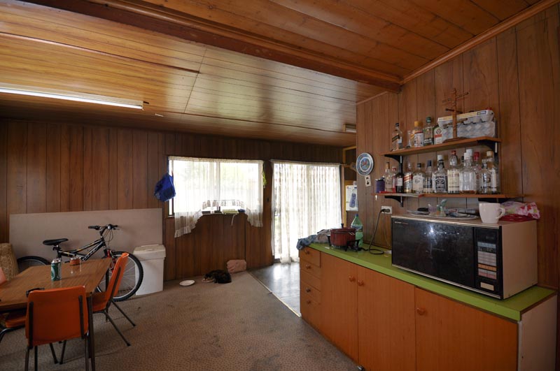 Renovators Dream Picture 2