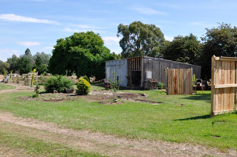 A Good High in Campbell Town Picture 2