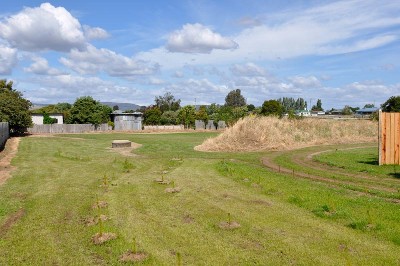 A Good High in Campbell Town Picture A Good High in Campbell Town Picture