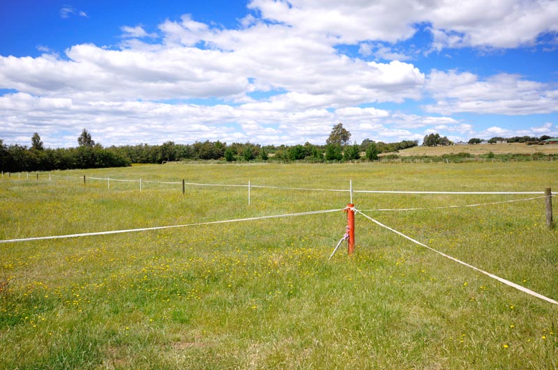 It's All There Except The House Picture 3