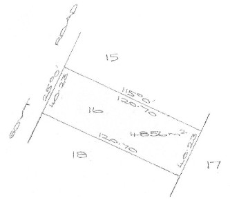 360 Degree Views Picture