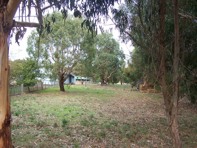 A Peaceful Change! Picture 1