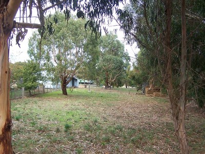 A Peaceful Change! Picture A Peaceful Change! Picture