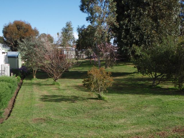 A Special Building Block Picture 1