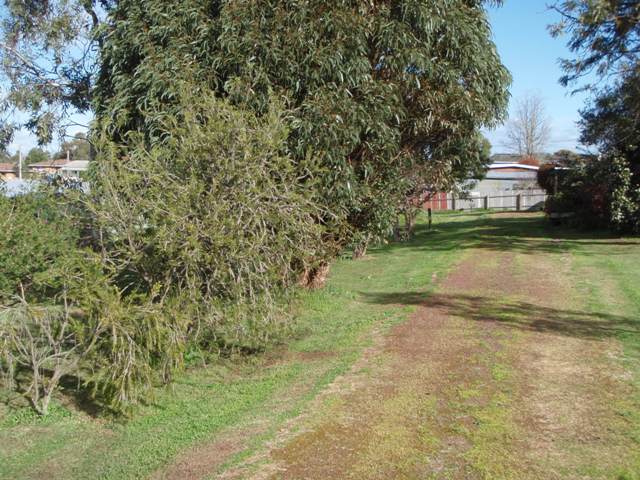 A Special Building Block Picture 2