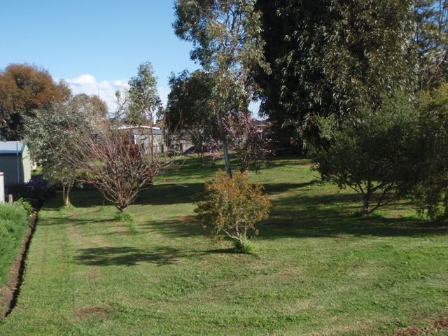 A Special Building Block Picture 3