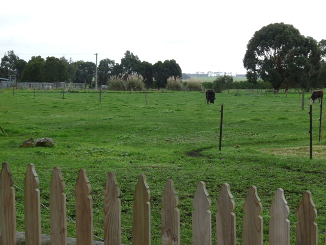 Building Block - Purnim Picture 1