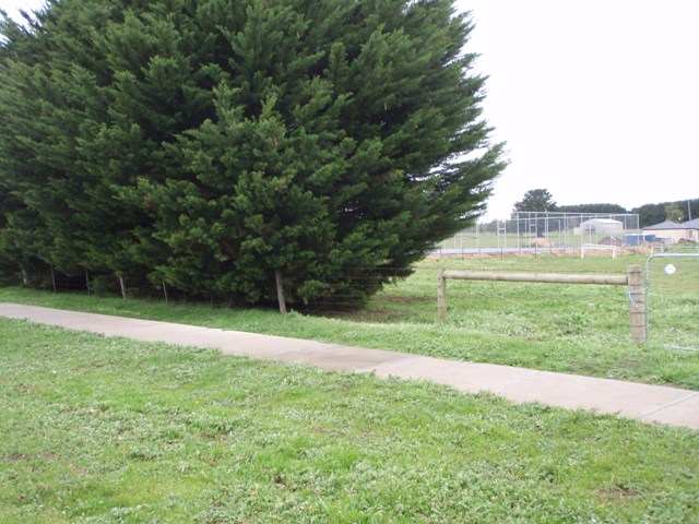 Country Comfort Picture 2