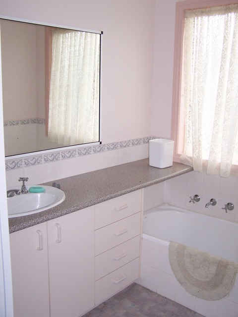 Entertainers Paradise Picture 3