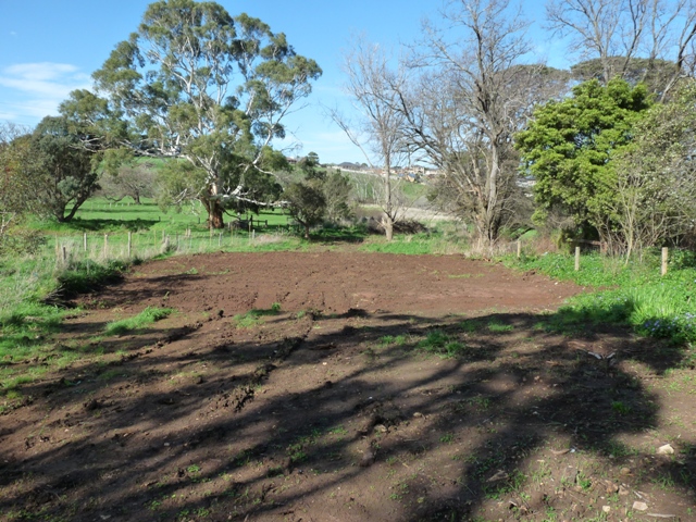 One To Knock Your Socks Off! Picture 1