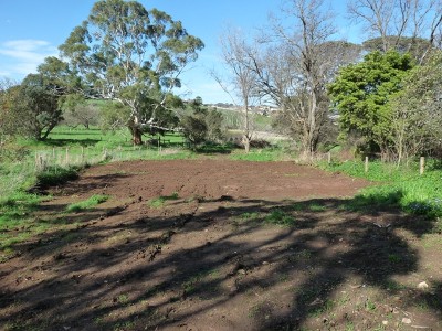 One To Knock Your Socks Off! Picture