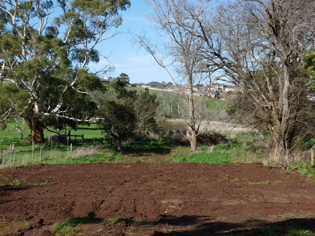 One To Knock Your Socks Off! Picture 2