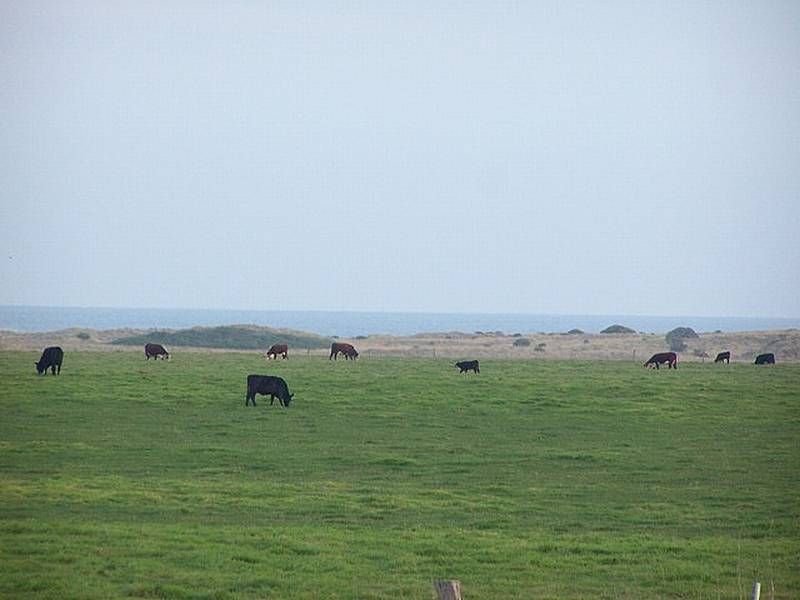 Sensational Views Picture 1