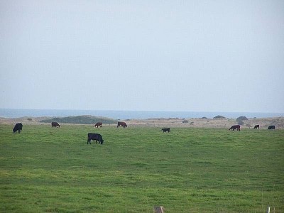 Sensational Views Picture Sensational Views Picture