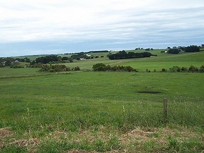 Woodford Blocks - Four Blocks Available Picture