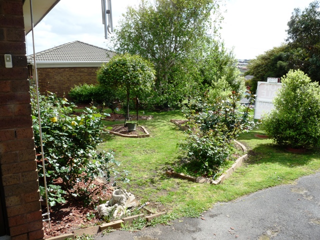 This One's A Beauty Picture 2